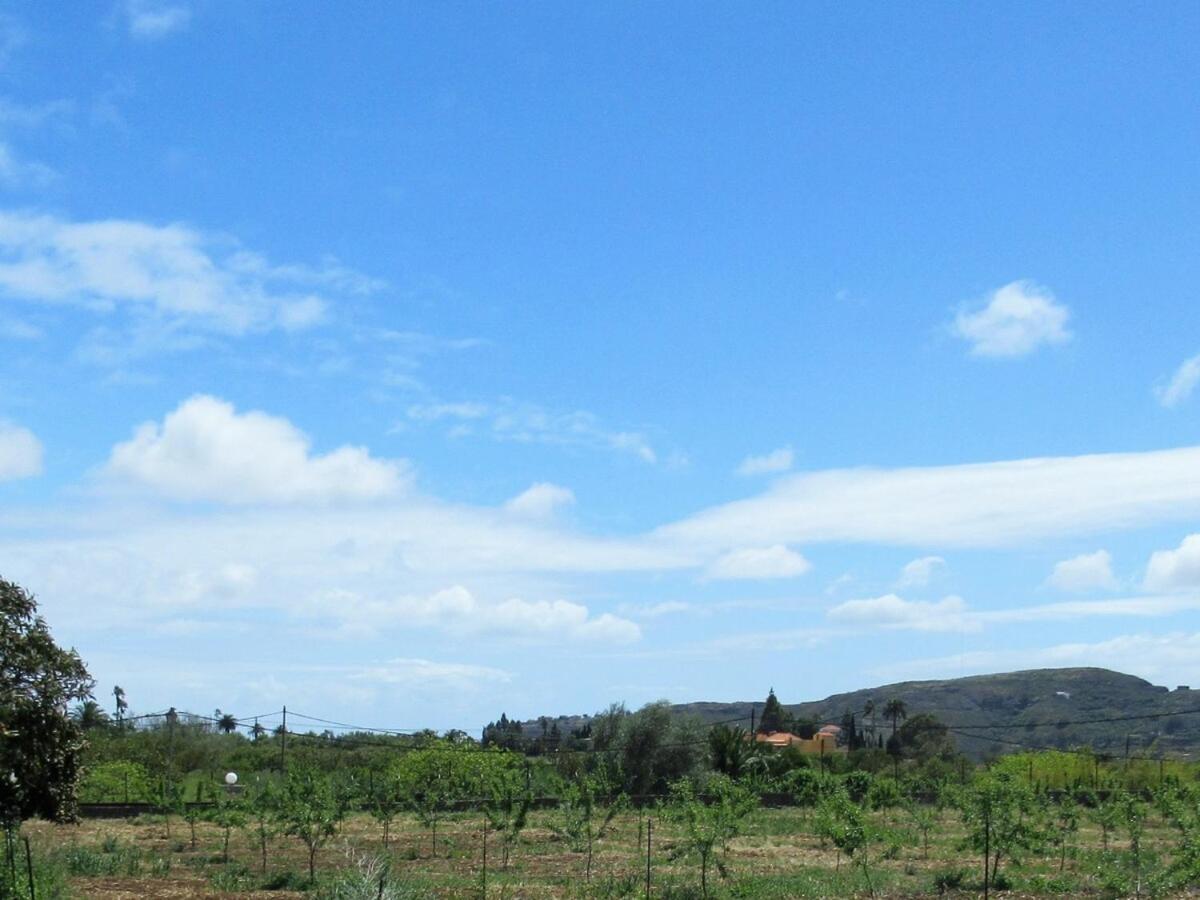 Casa Rural El Alpendre Vega de San Mateo Buitenkant foto