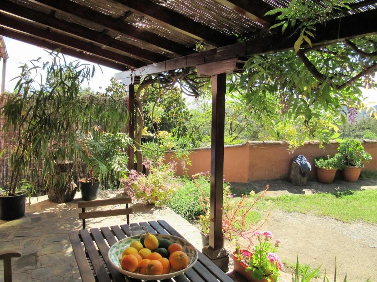 Casa Rural El Alpendre Vega de San Mateo Buitenkant foto