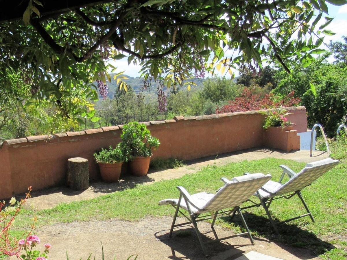Casa Rural El Alpendre Vega de San Mateo Buitenkant foto